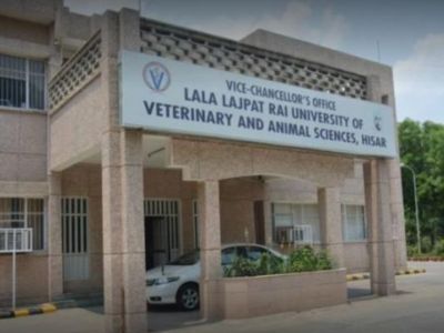 COLLEGE OF VETERINARY SCIENCES HISAR