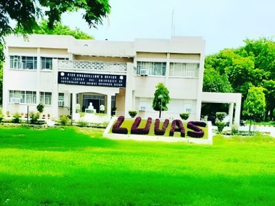 LUVAS HISAR