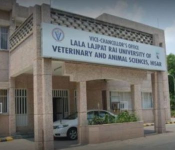 COLLEGE OF VETERINARY SCIENCES HISAR