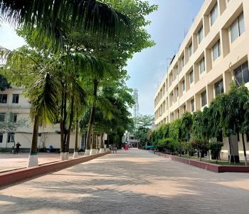 International medical college (2)