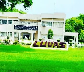 LUVAS HISAR